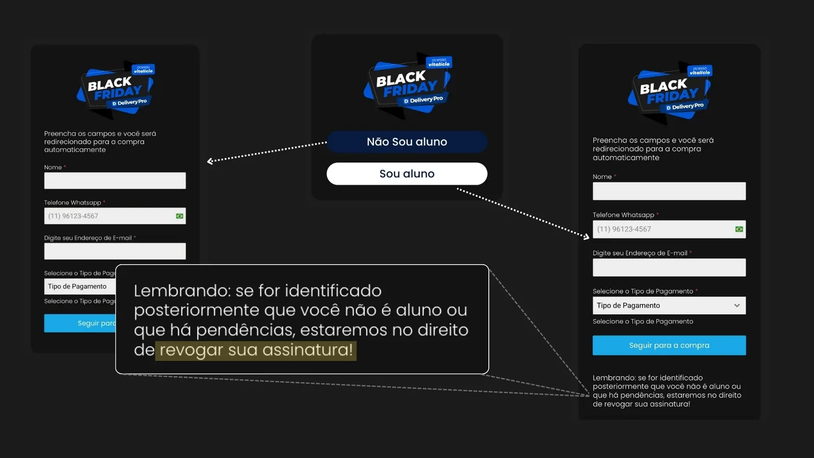 Sistema de Verificação de Leads – Black Friday 2023 – Fernando Baldino